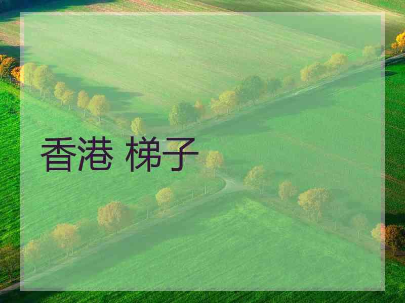 香港 梯子