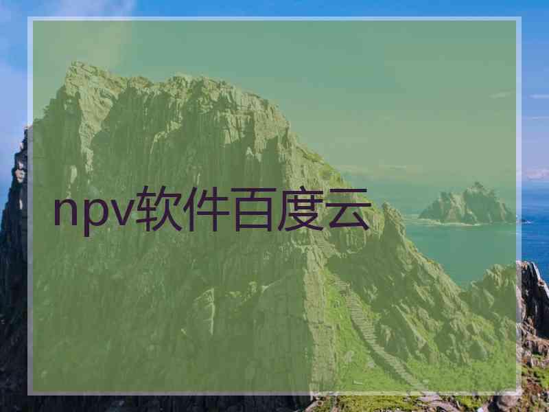 npv软件百度云