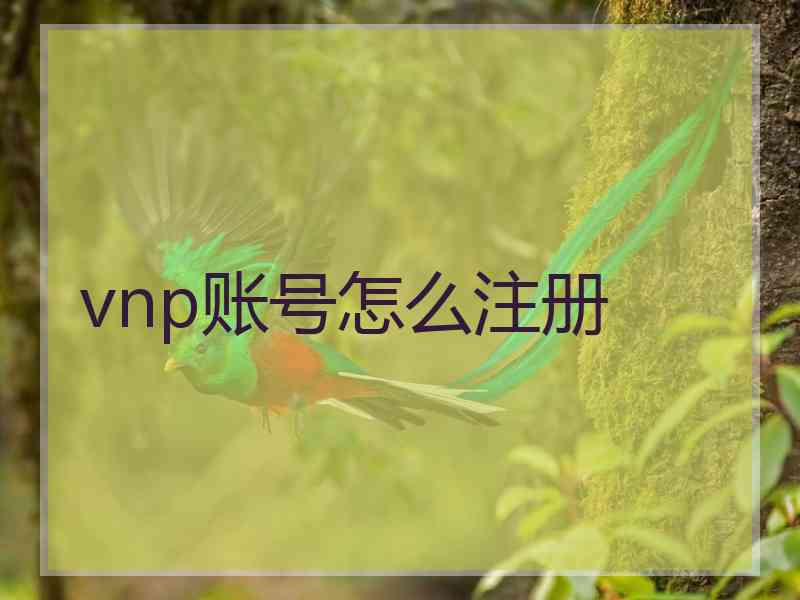vnp账号怎么注册