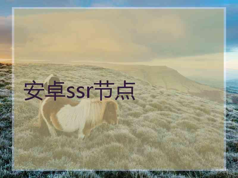 安卓ssr节点