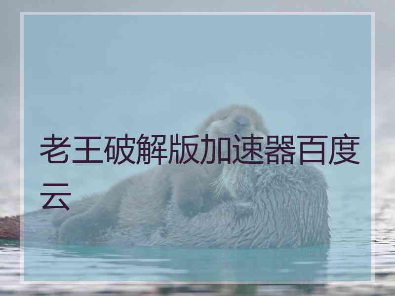 老王破解版加速器百度云