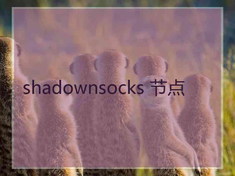 shadownsocks 节点