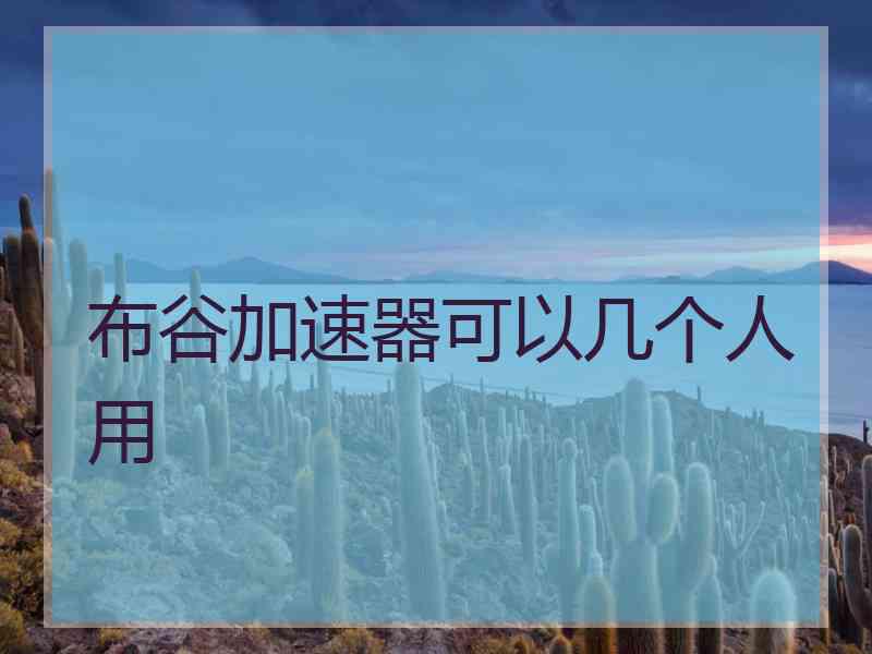 布谷加速器可以几个人用