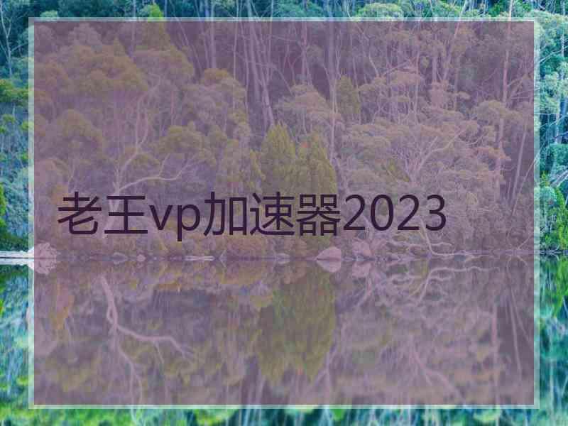 老王vp加速器2023
