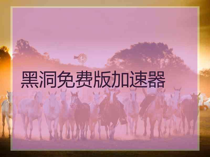 黑洞免费版加速器