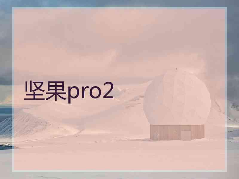 坚果pro2
