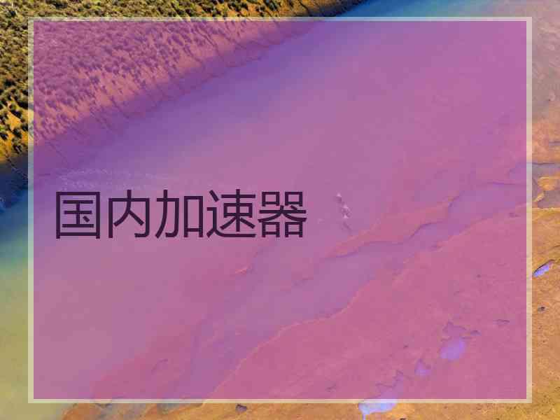 国内加速器