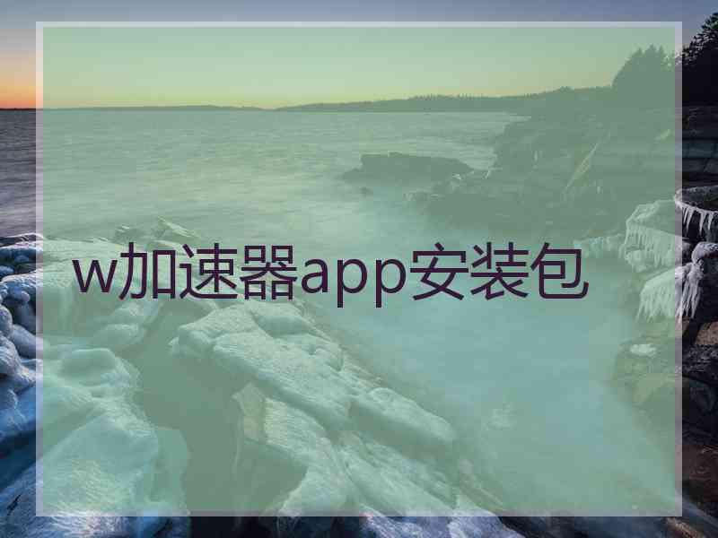 w加速器app安装包