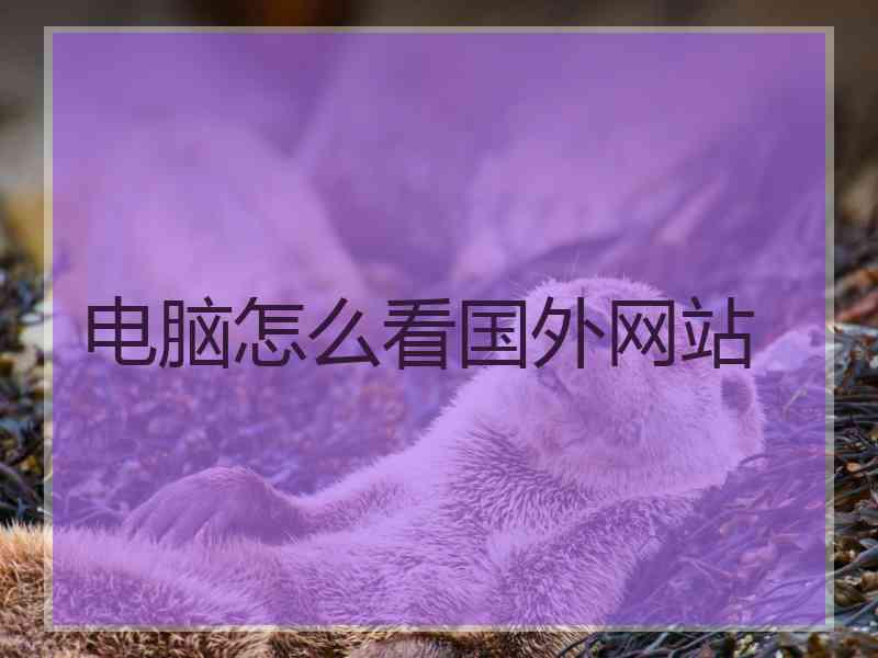 电脑怎么看国外网站