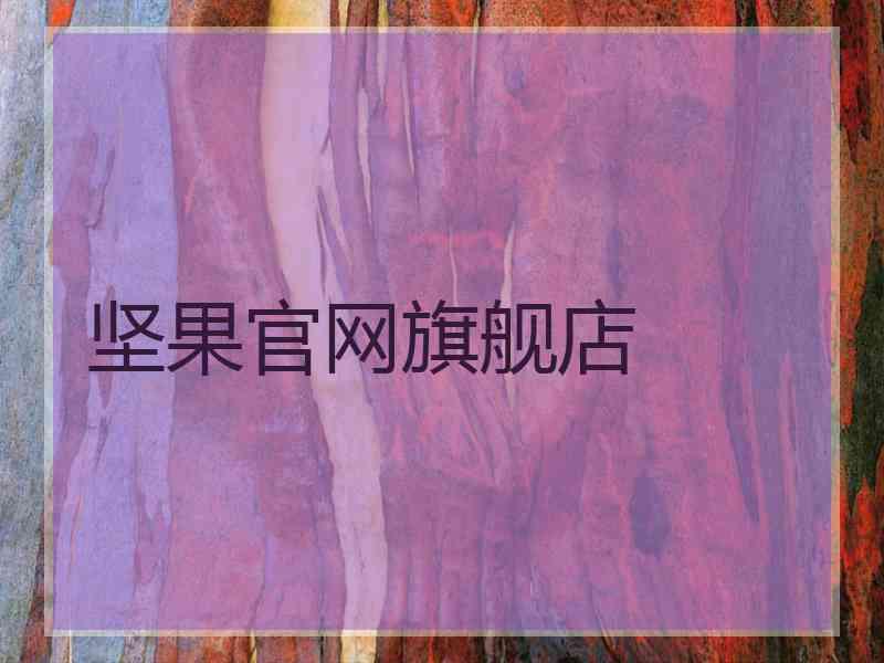 坚果官网旗舰店
