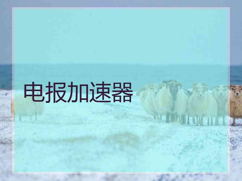 电报加速器