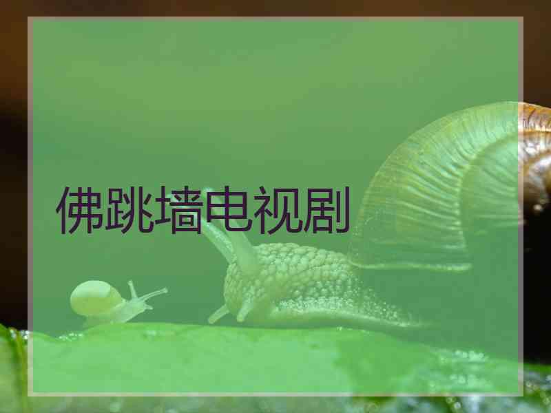 佛跳墙电视剧