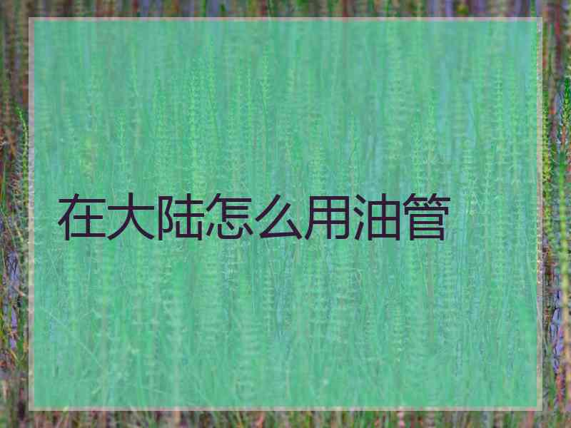 在大陆怎么用油管