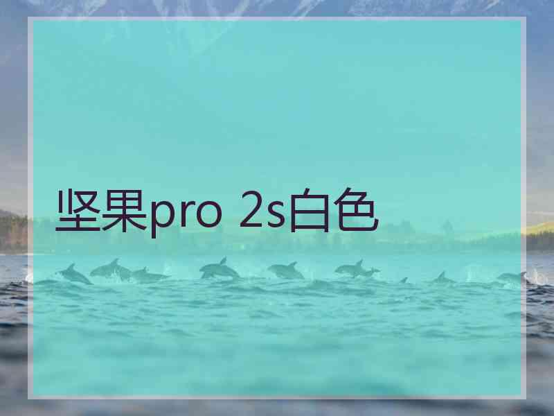 坚果pro 2s白色