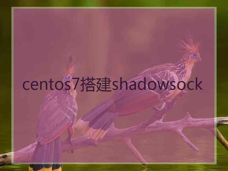 centos7搭建shadowsock