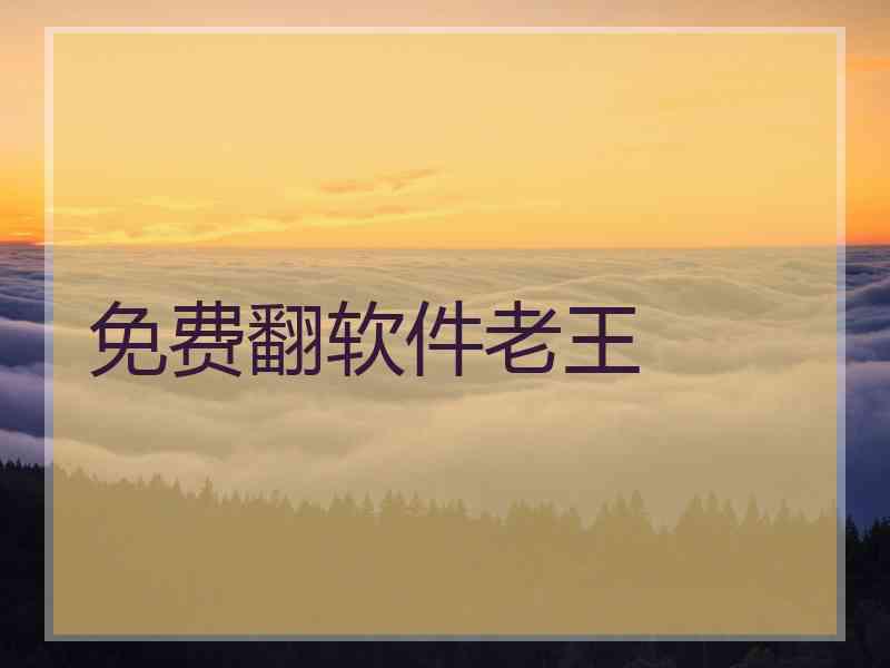 免费翻软件老王