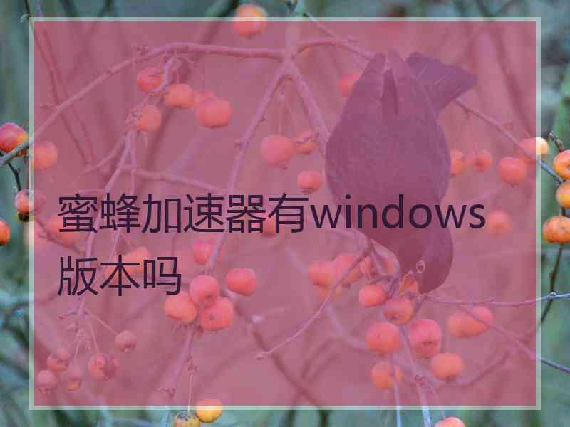 蜜蜂加速器有windows版本吗