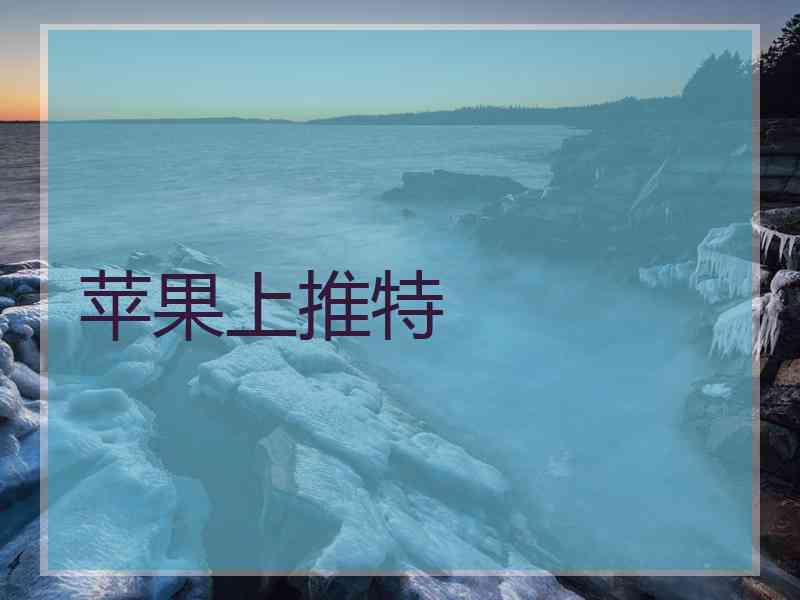 苹果上推特