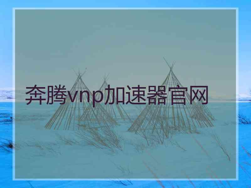奔腾vnp加速器官网