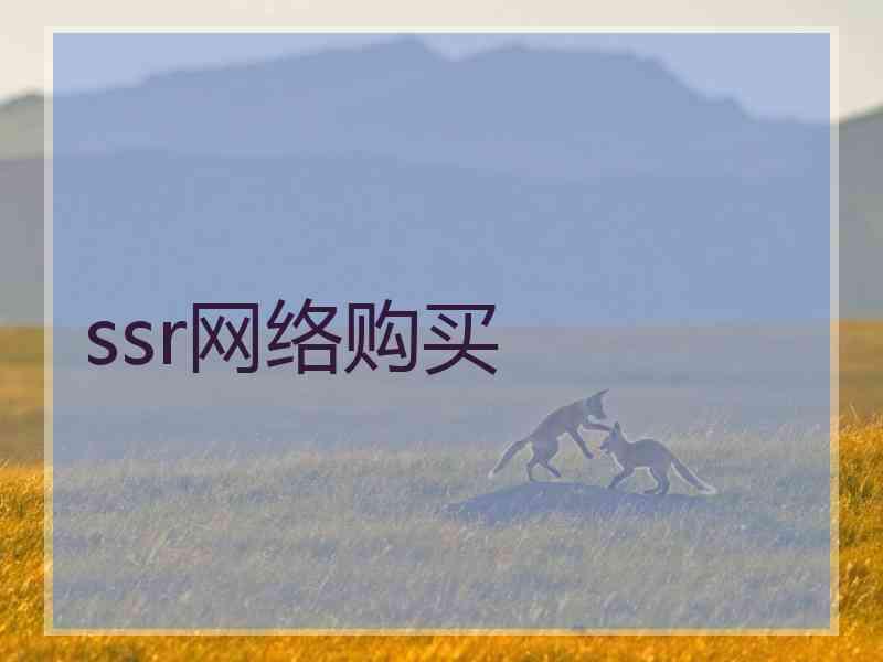 ssr网络购买