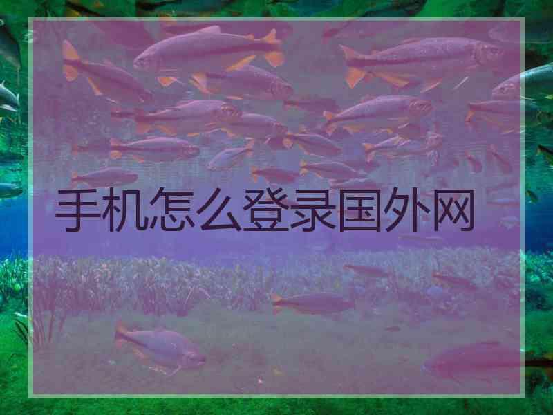 手机怎么登录国外网