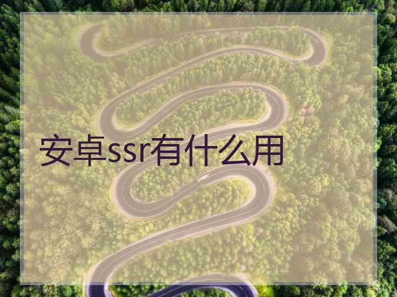 安卓ssr有什么用