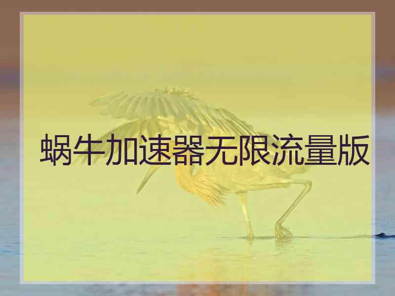 蜗牛加速器无限流量版