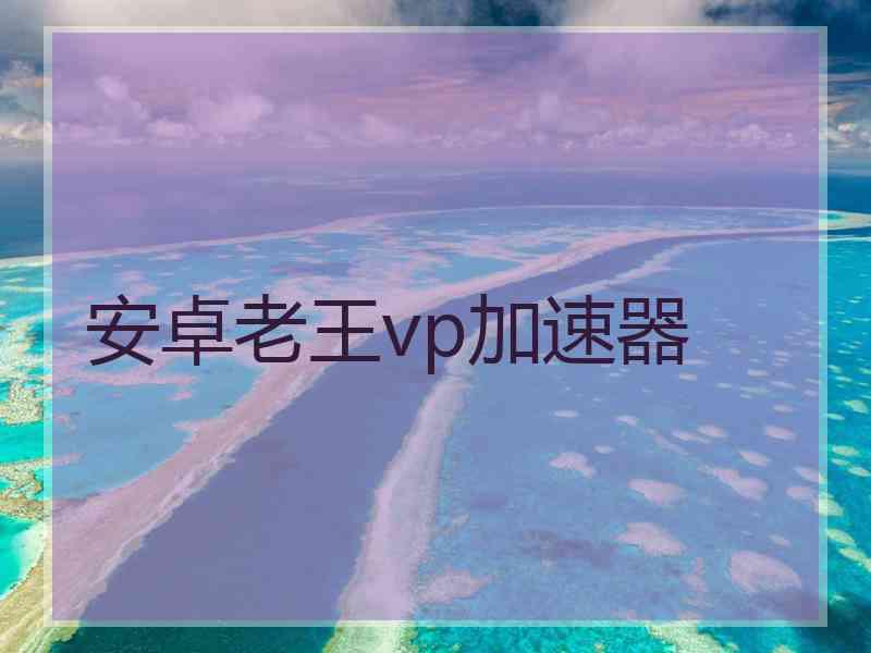 安卓老王vp加速器