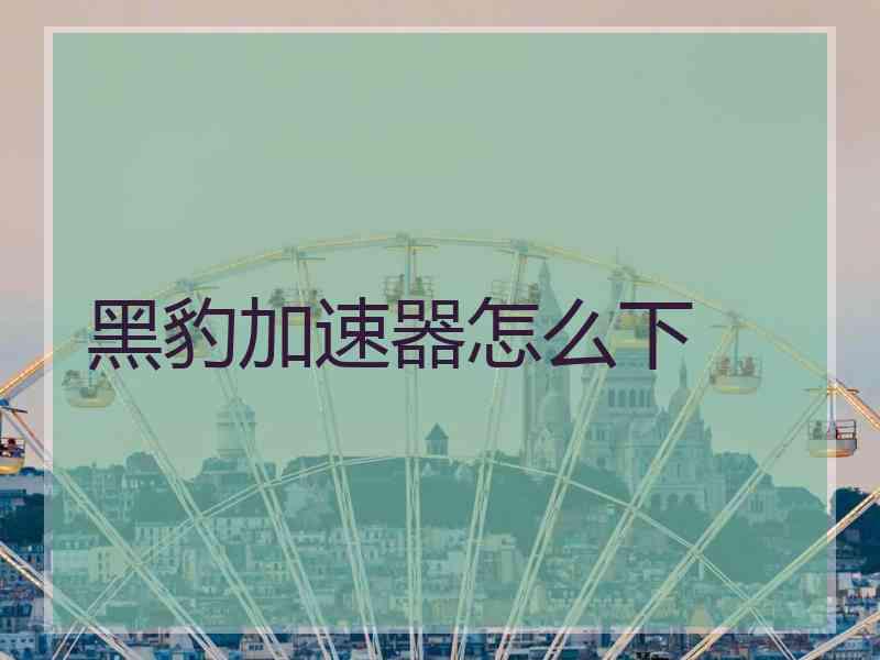 黑豹加速器怎么下
