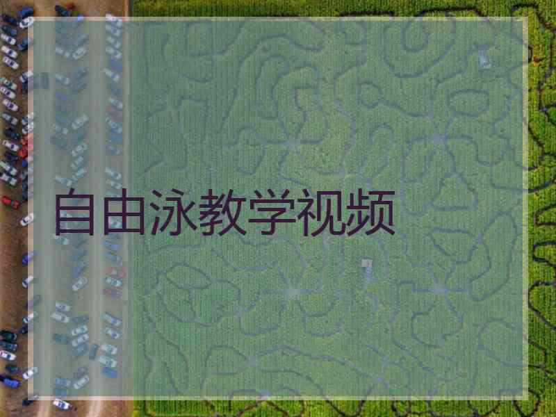 自由泳教学视频