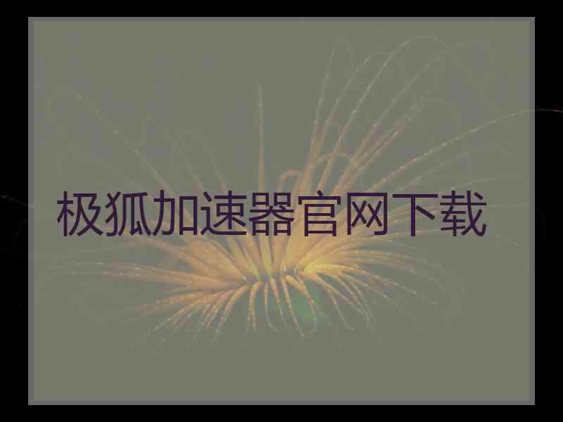 极狐加速器官网下载