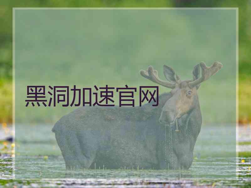 黑洞加速官网