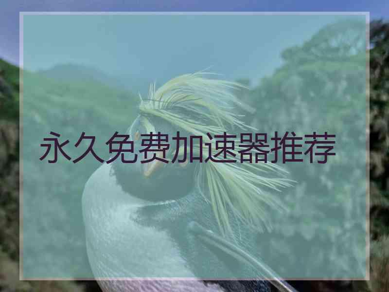 永久免费加速器推荐