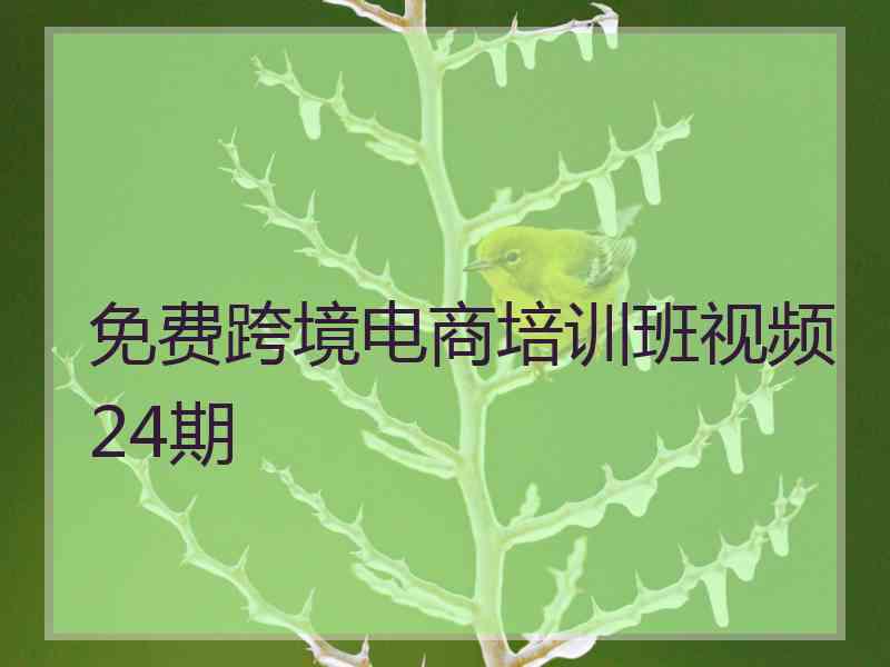免费跨境电商培训班视频24期