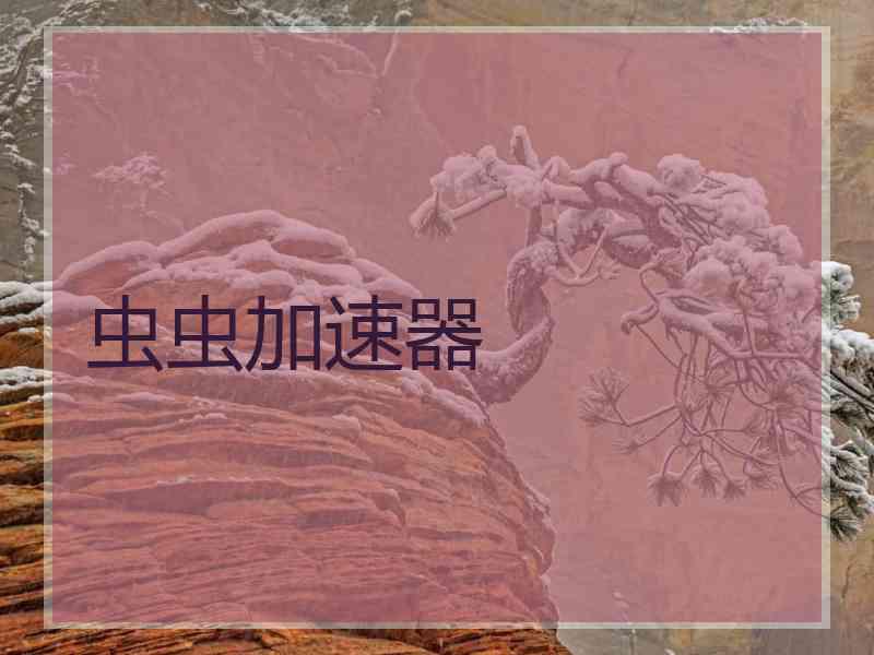 虫虫加速器