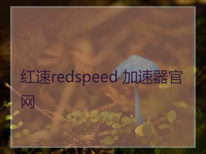 红速redspeed 加速器官网