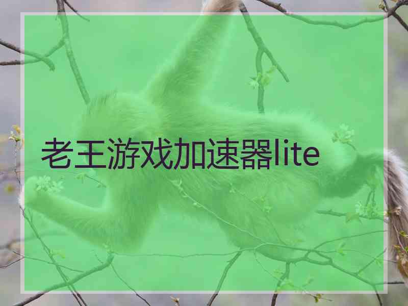 老王游戏加速器lite