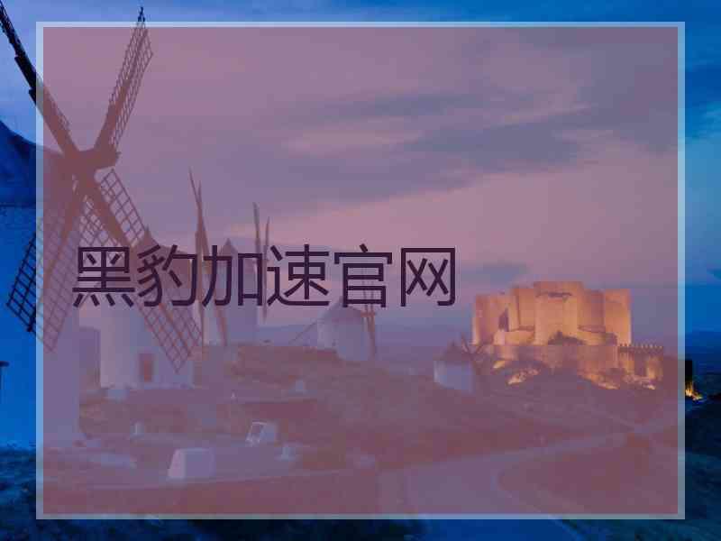 黑豹加速官网
