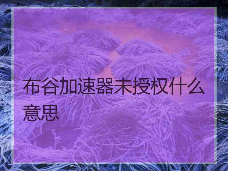 布谷加速器未授权什么意思