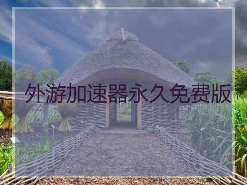 外游加速器永久免费版