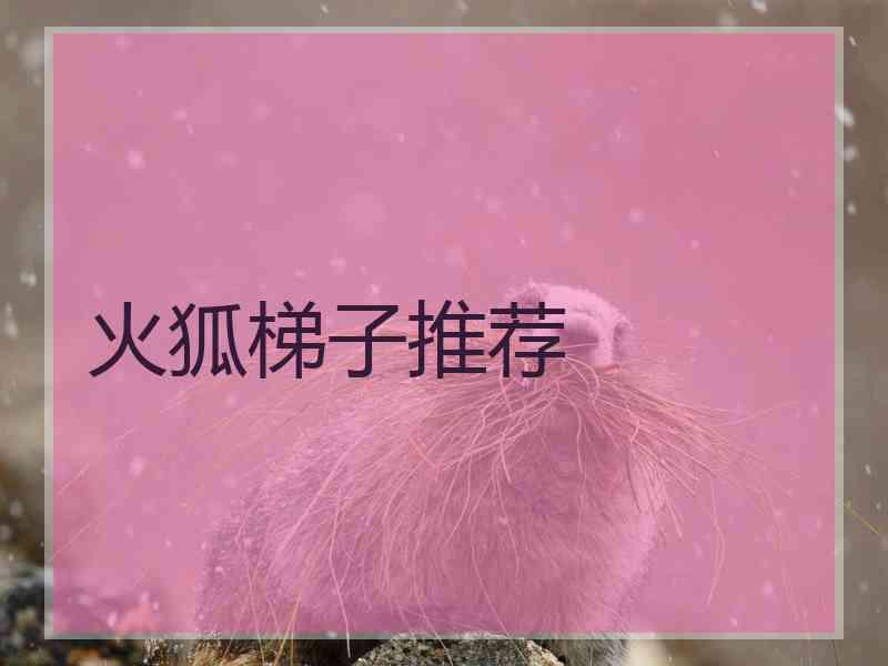火狐梯子推荐