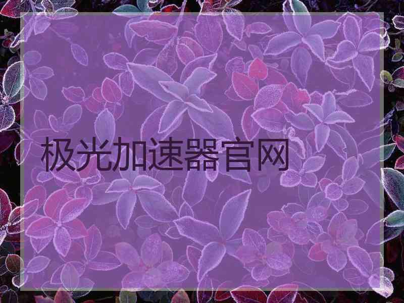 极光加速器官网