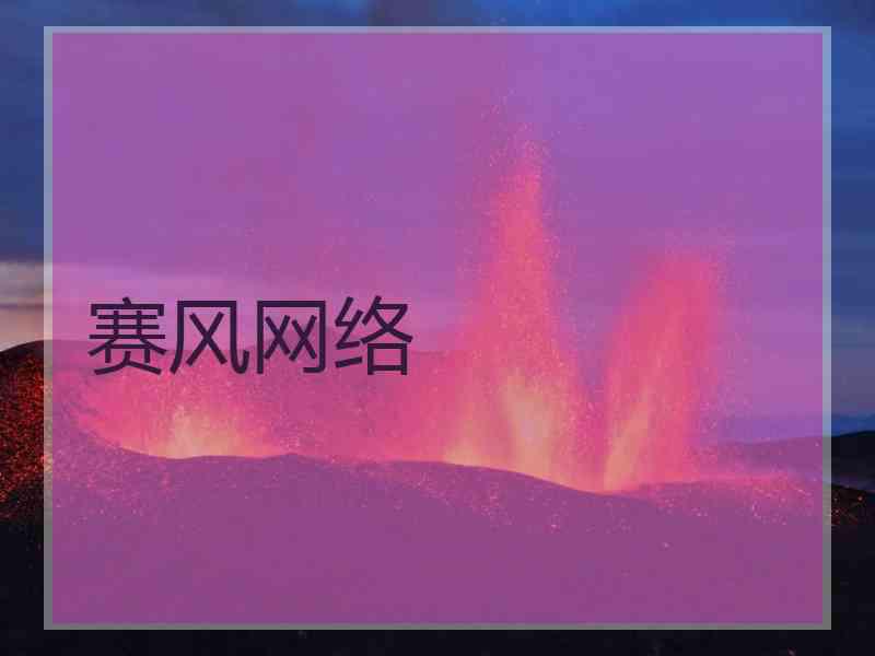 赛风网络