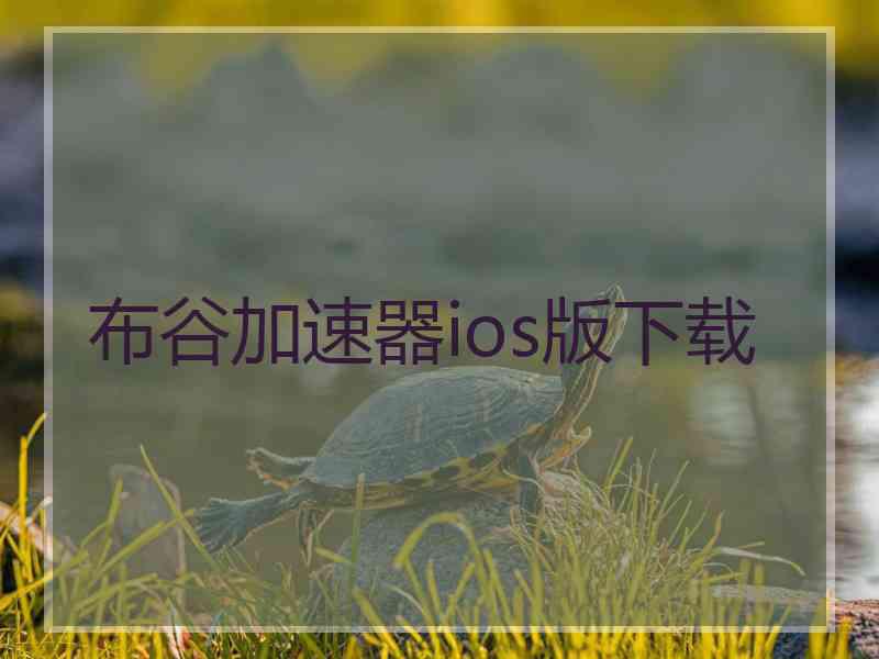 布谷加速器ios版下载
