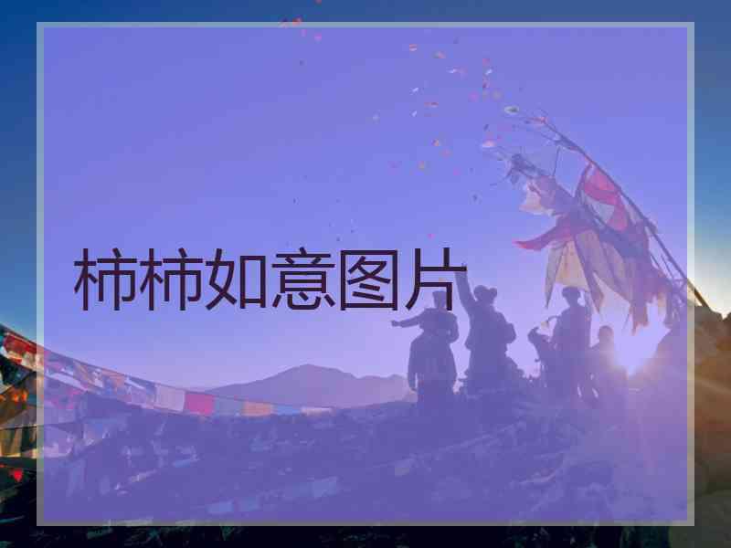柿柿如意图片