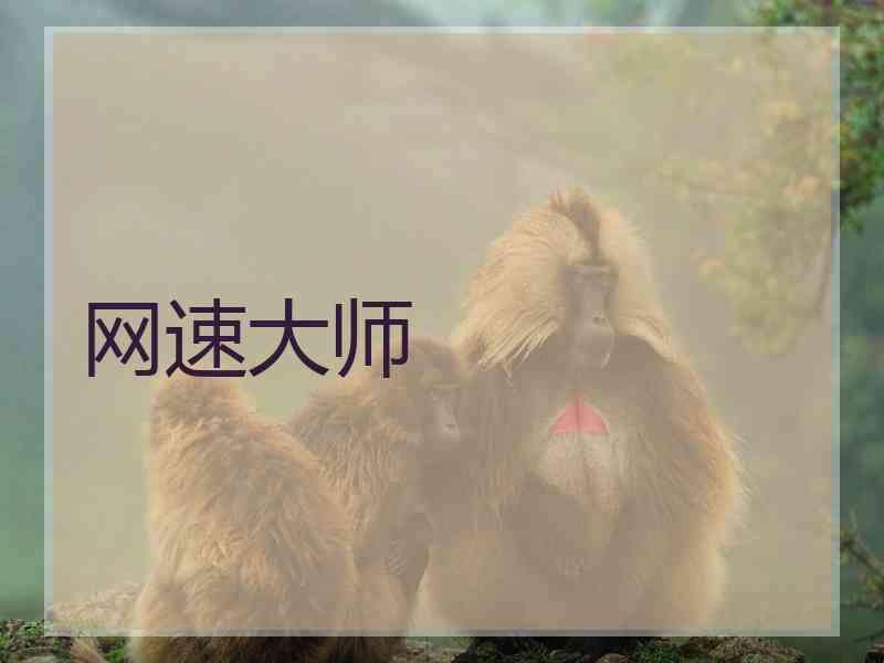 网速大师