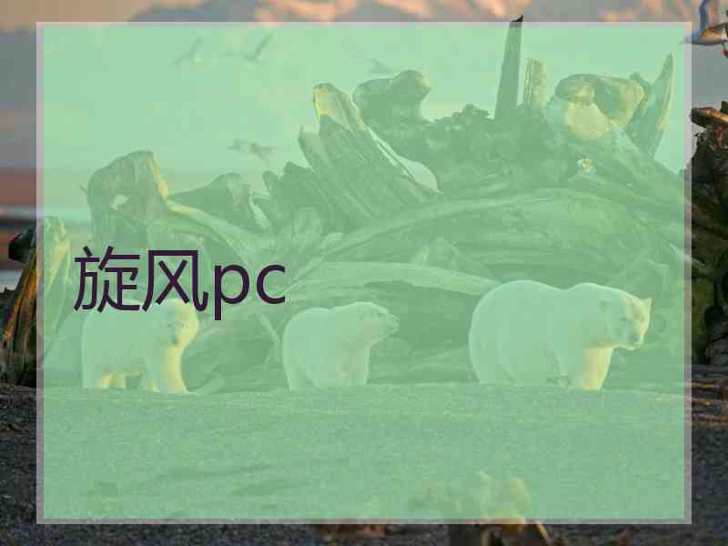 旋风pc
