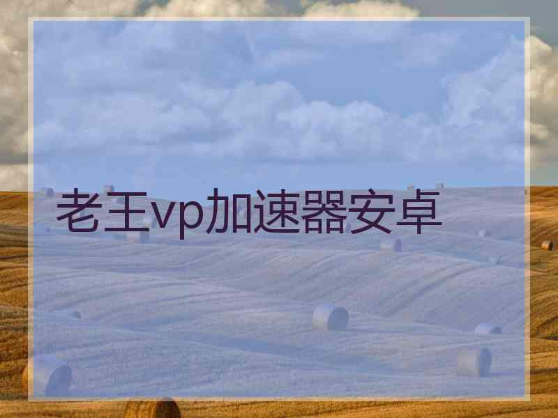 老王vp加速器安卓