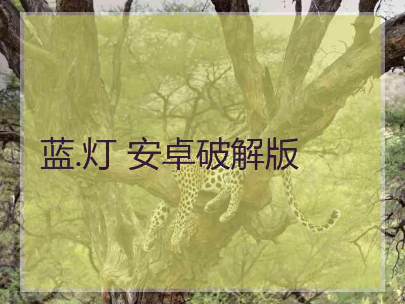 蓝.灯 安卓破解版