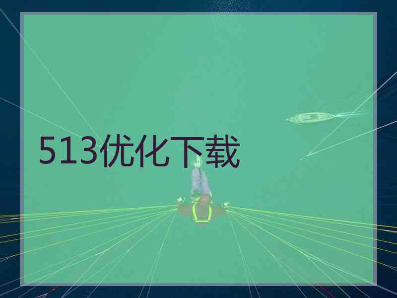513优化下载